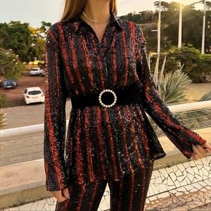 Zara sequin long sleeve stripe top